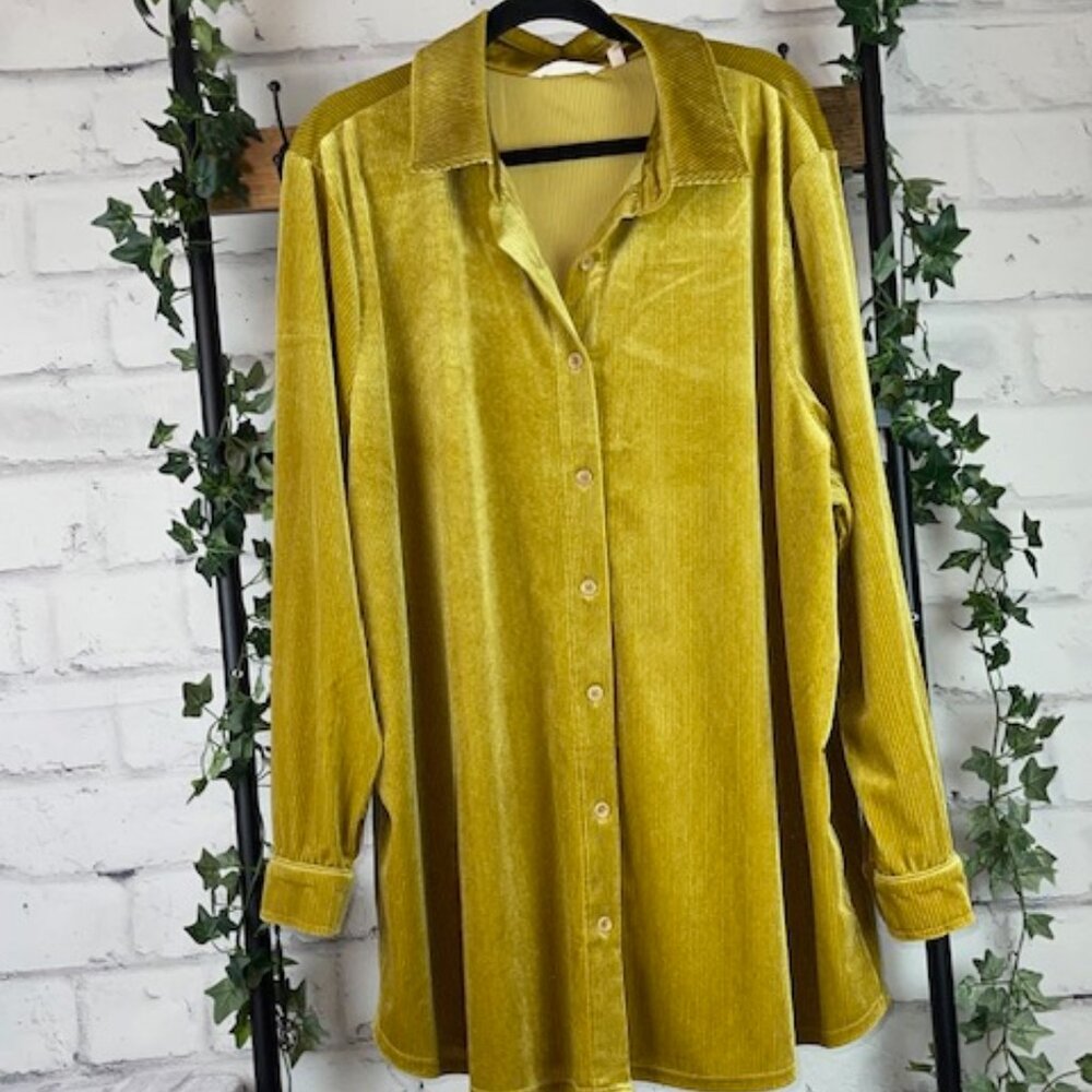 Soft Surroundings Velvety Tunic in Apple Green, 3X